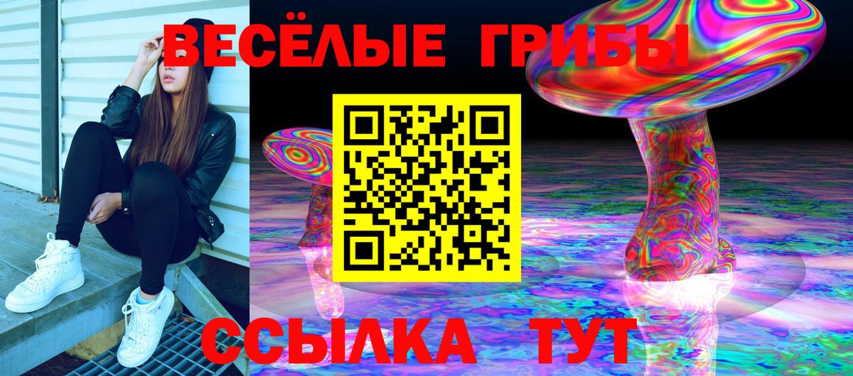 Галлюциногенные грибы мухоморы  Вход с VPN  Псилоцибиновые грибы Cubensis  где купить   Мурманск 